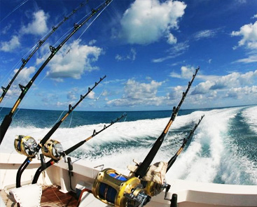 Sport Fishing Yellowfin Los Cabos